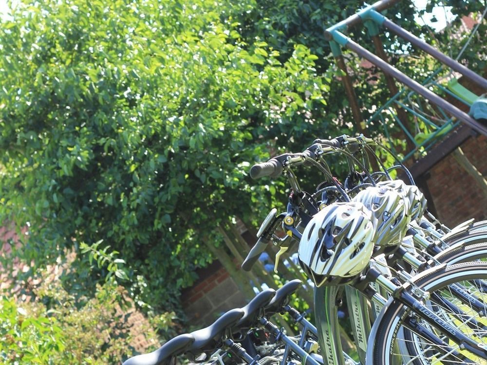 Au Coeur Des Hotes Steenvoorde Bagian luar foto